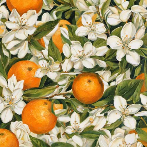 Orangenbluete in Parfum